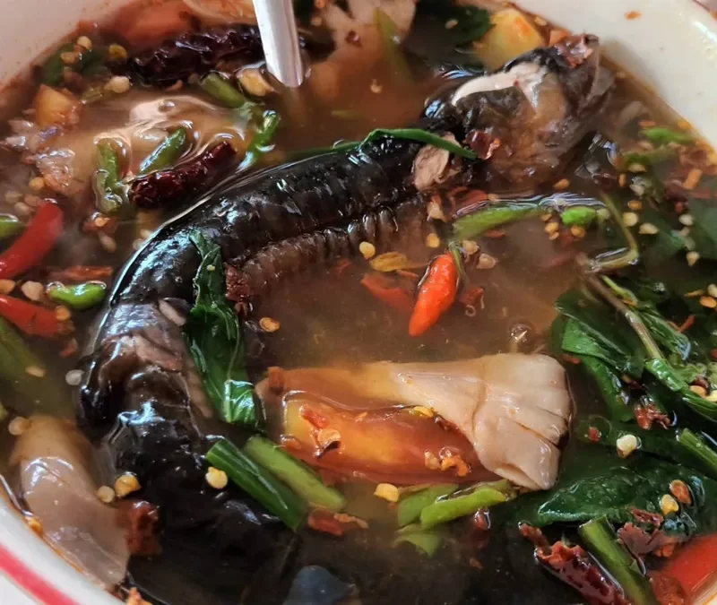 ร้านกล้วยอาหารป่า